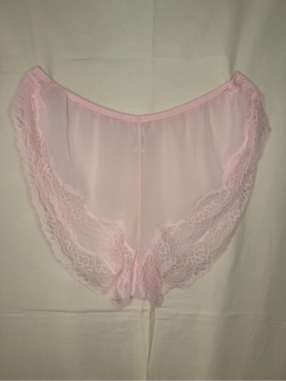 3/$20 Adore Me Light Pink Sheer Lace Bikini Briefs